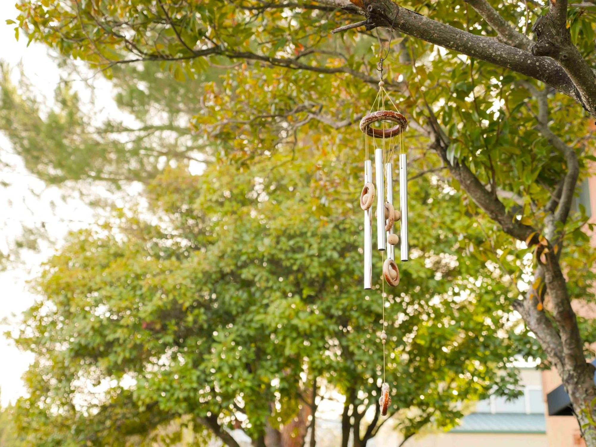 Ashland Commons Hostel Bagian luar foto